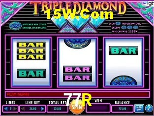 Sistemas de Segurança 77R